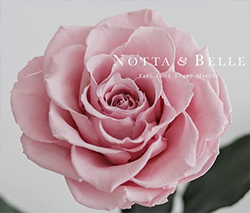 L’originale rosa Notta & Belle. Scegli la rosa di proprio gusto.