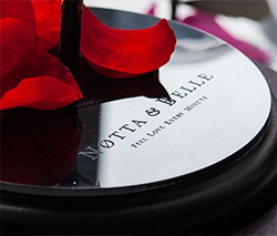 Scritta di marchio Notta & Belle sulla base per la rosa sotto una campana.