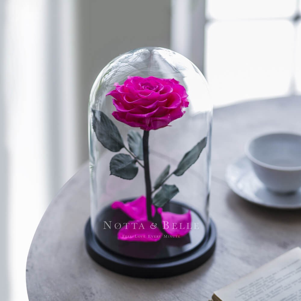 Premium jasně růžová Růže ve skle