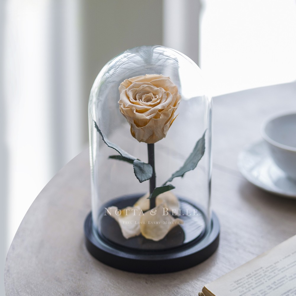 The rose in a glass dome from Beauty and the Beast