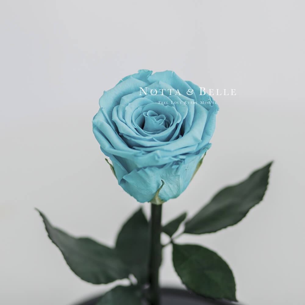 Mini turquoise Rose 