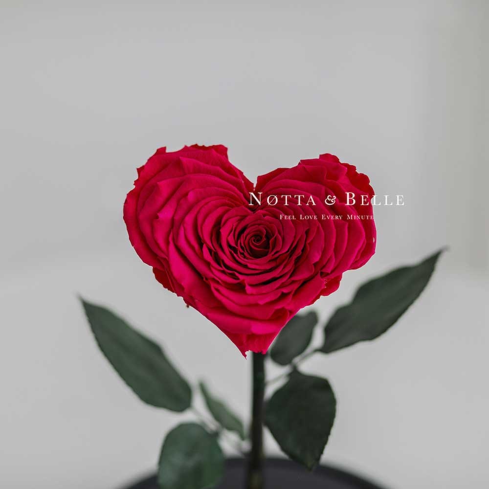 Роза цвета Фуксии Premium в форме сердца