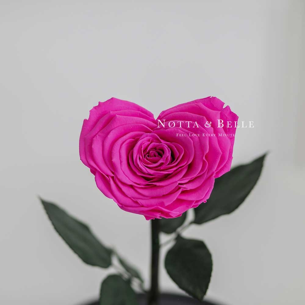 Ярко-Розовая роза Premium в форме сердца
