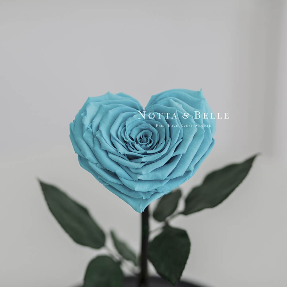 Бирюзовая роза Premium в форме сердца