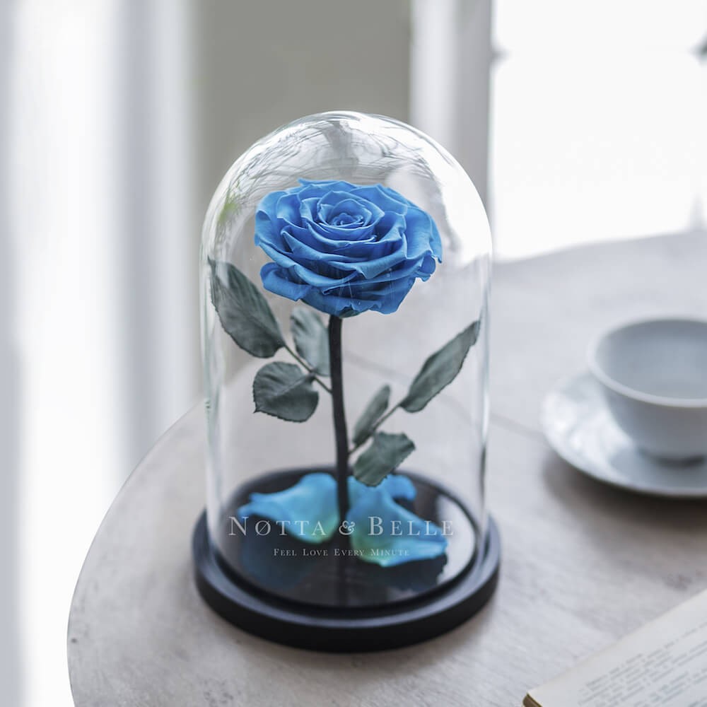 Голубая роза в колбе Premium