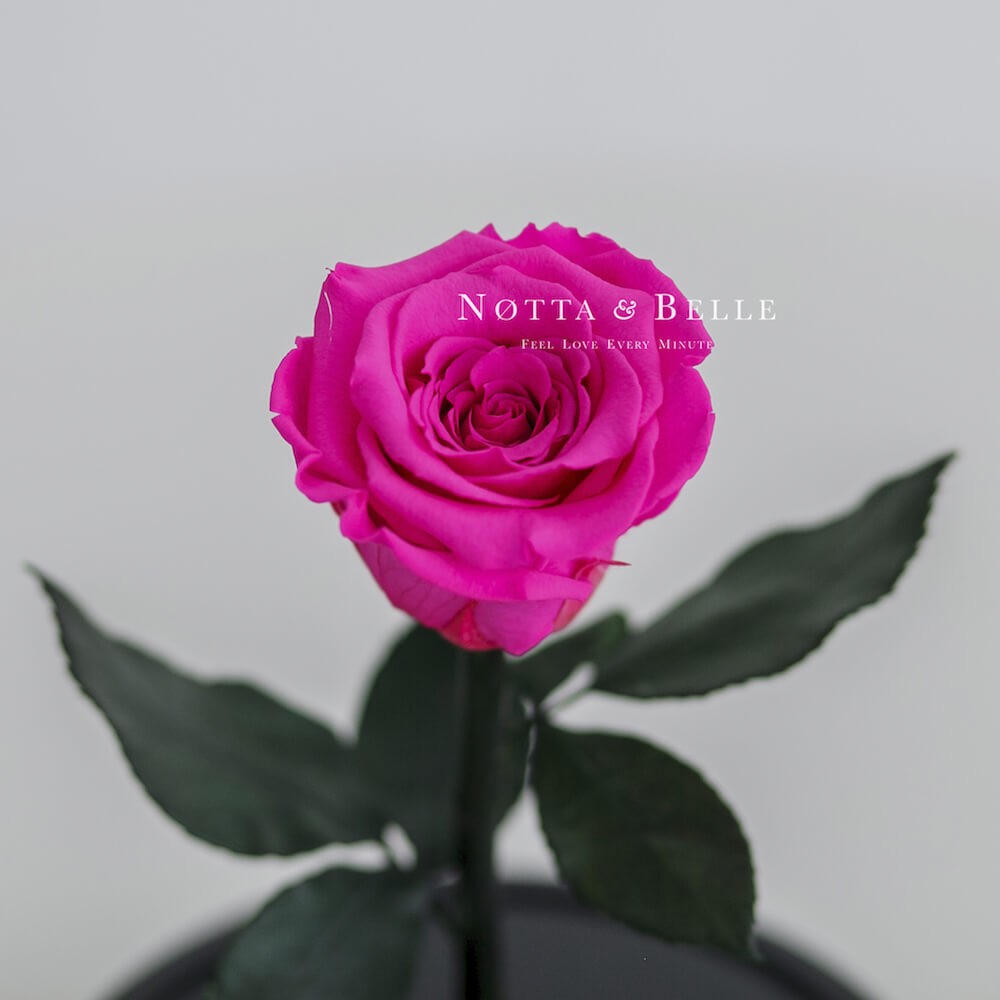Ярко-Розовая роза в колбе Mini