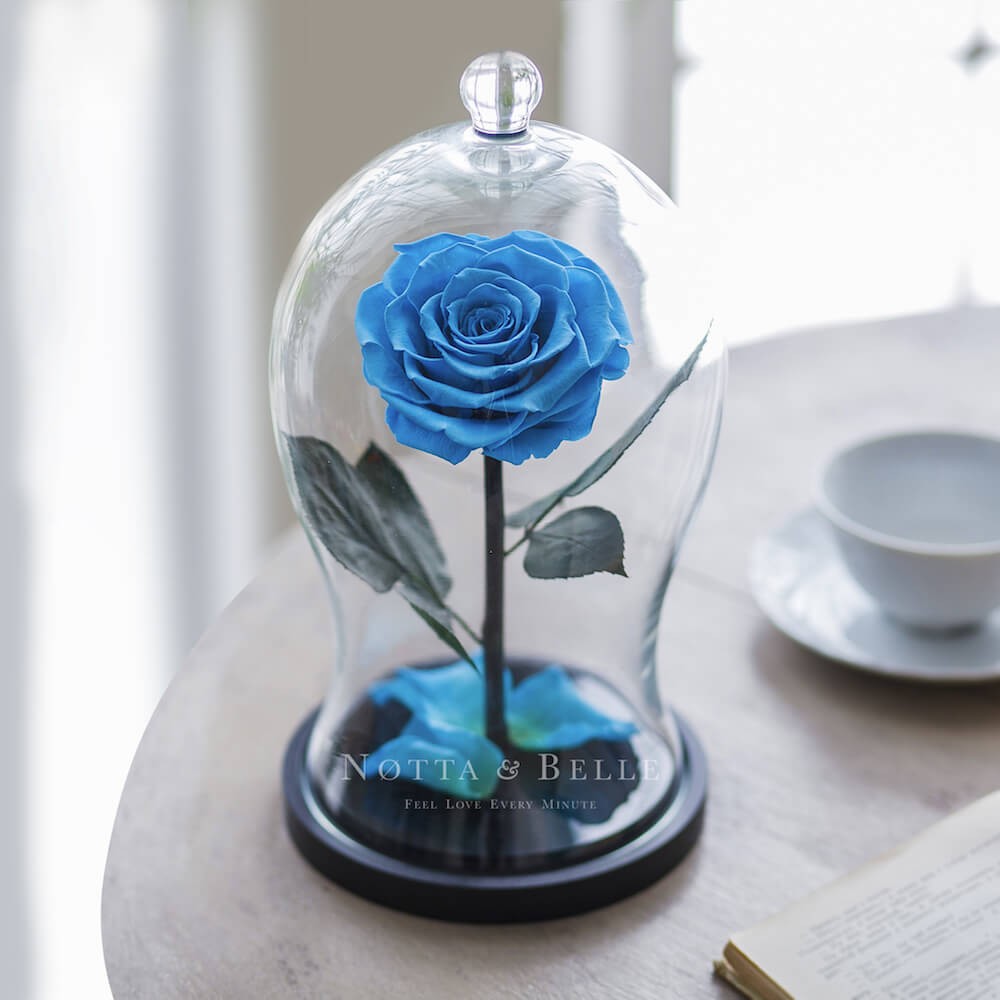 Голубая роза в колбе Premium X