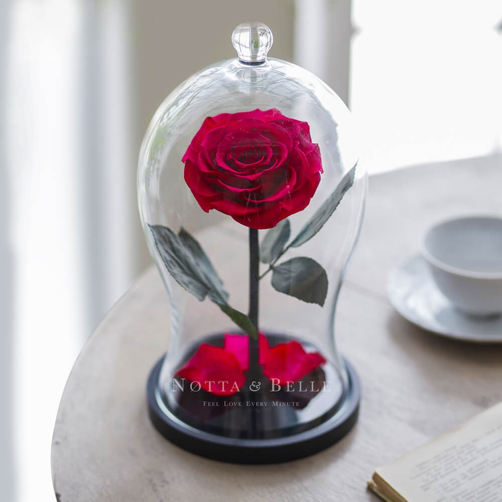 Роза в колбе цвета Фуксии - Premium X