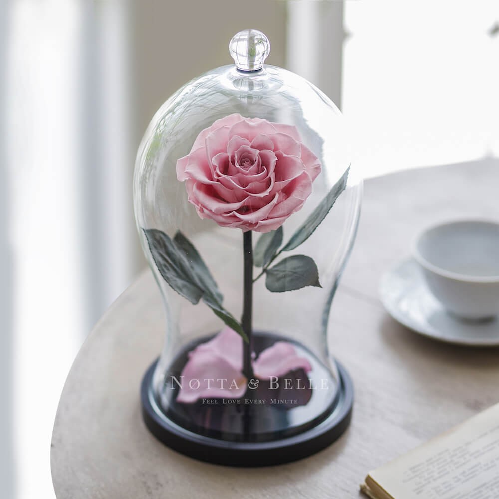 Нежно-Розовая роза в колбе Premium X