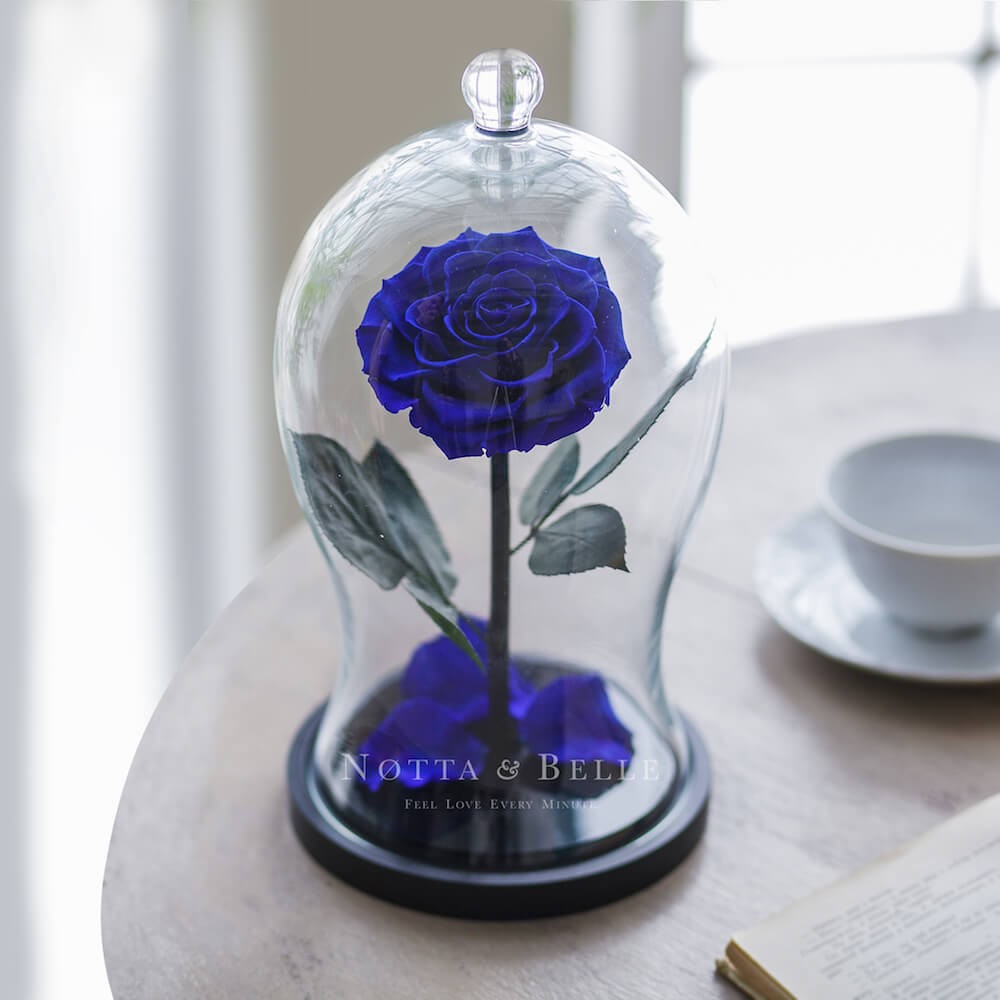 Синяя роза в колбе Premium X [copy]