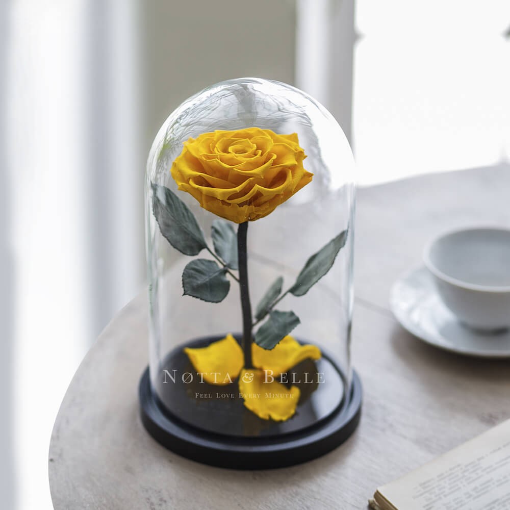Premium žlutá Růže ve skle