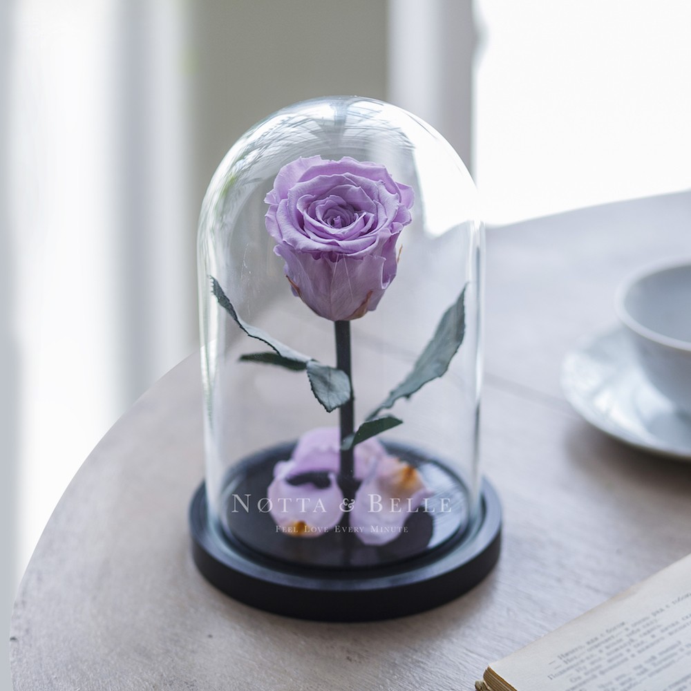 Mini levandulová Růže ve skle