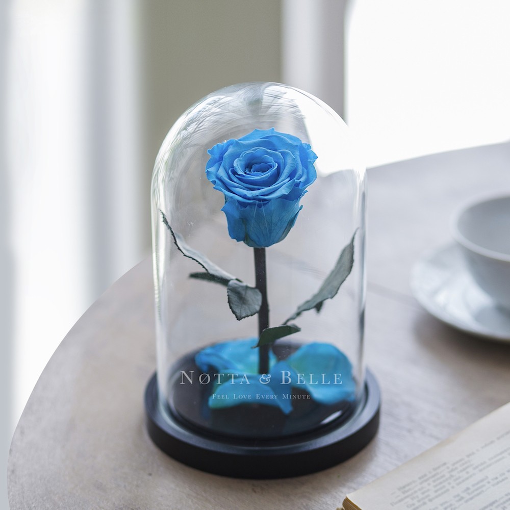 Mini světle modrá Růže ve skle