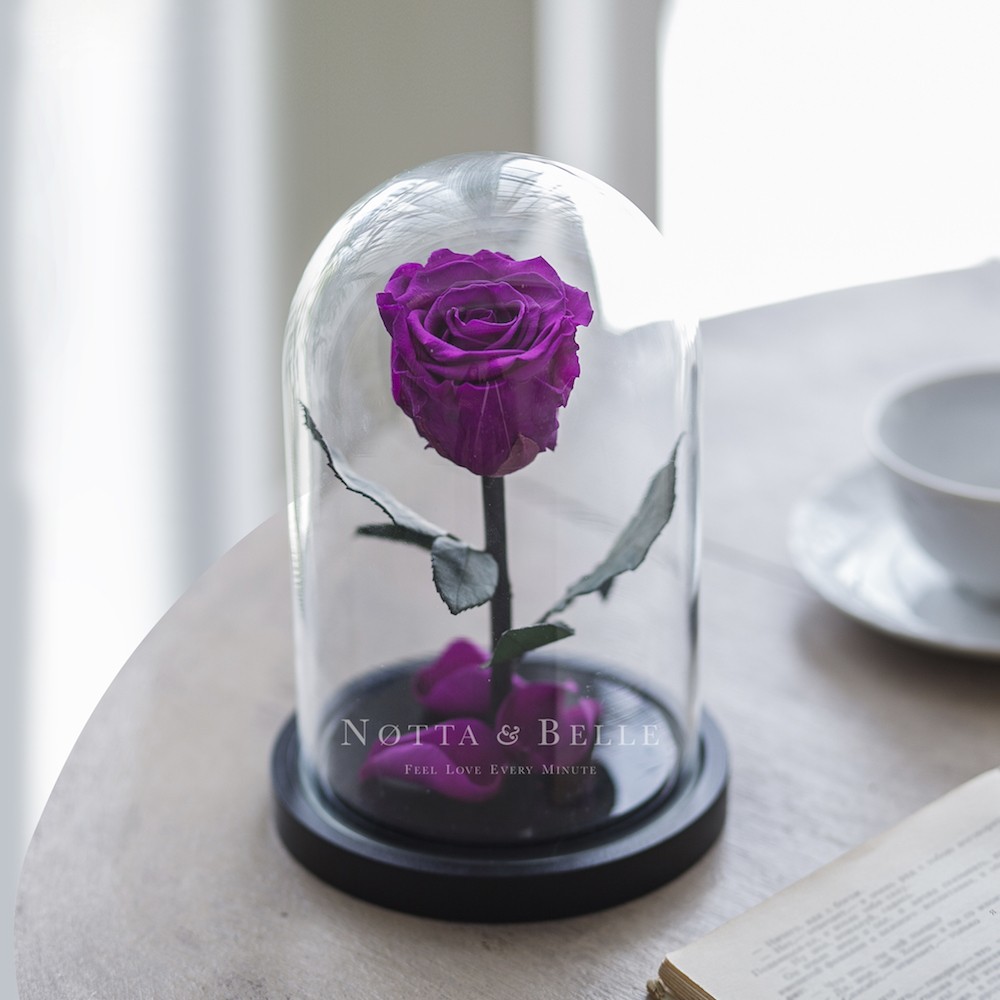 Mini fialová Růže ve skle
