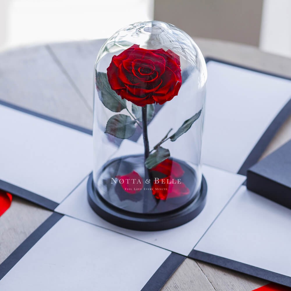 Gift box X black for rose in a glass dome