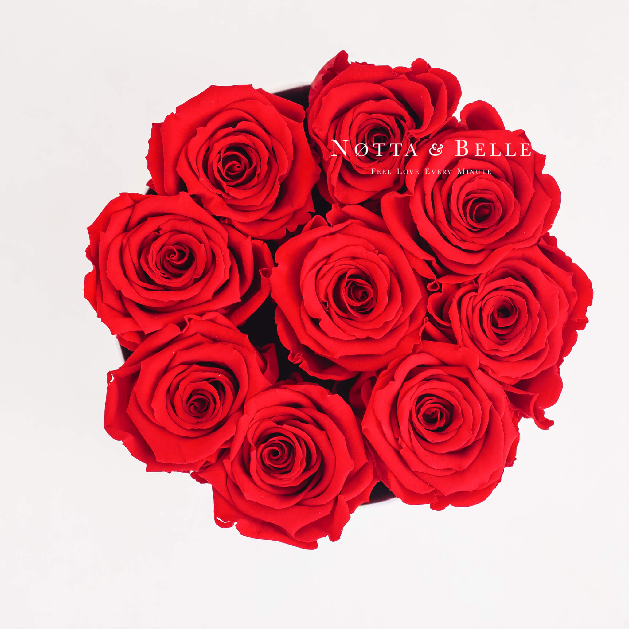 Red bouquet «Princess» Mini white box | Notta & Belle