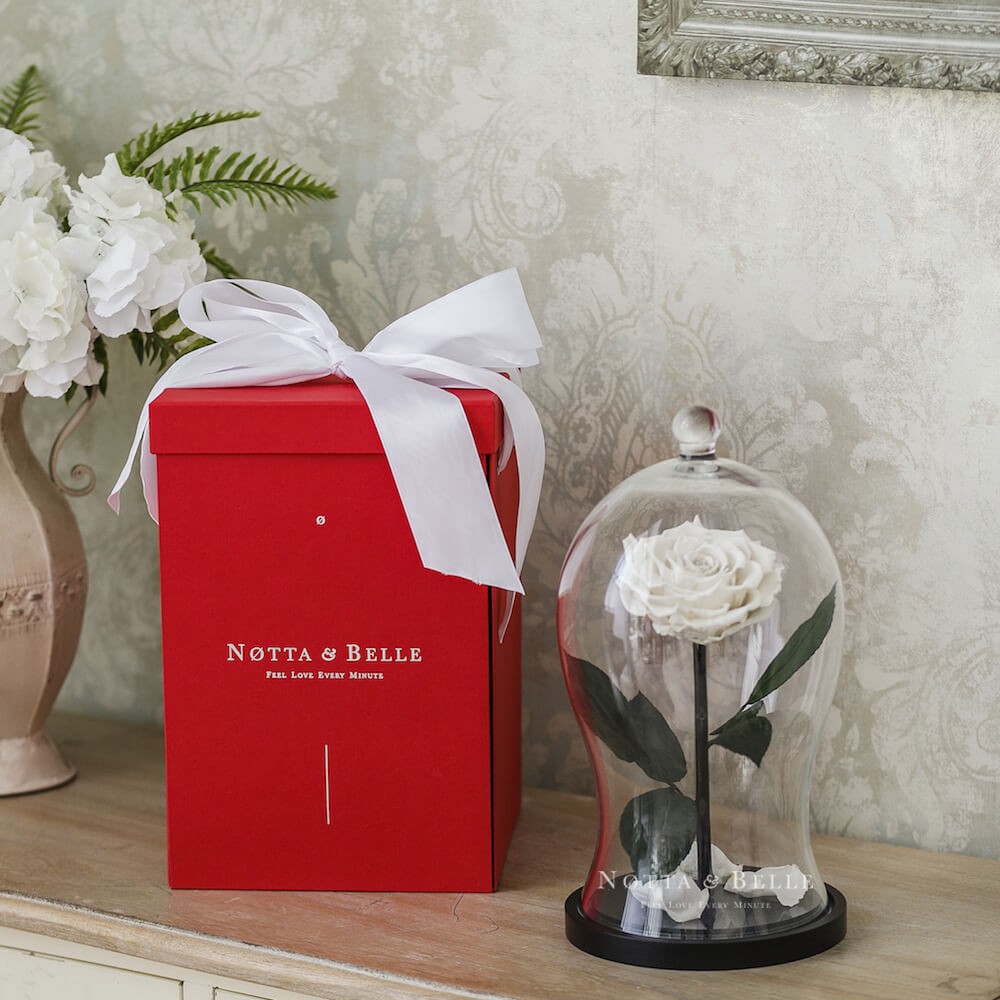 Gift box red for roses in a glass dome