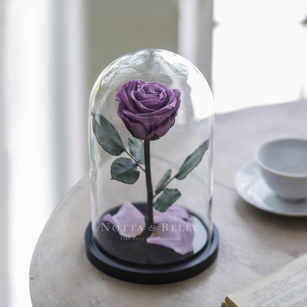 Лавандовая роза в колбе Premium с Подсветкой