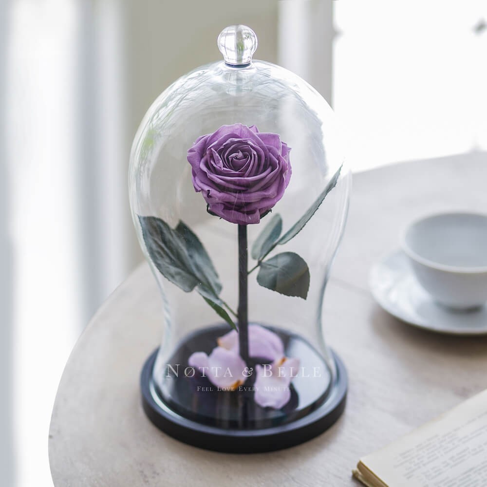 Premium X levandulová Růže ve skle