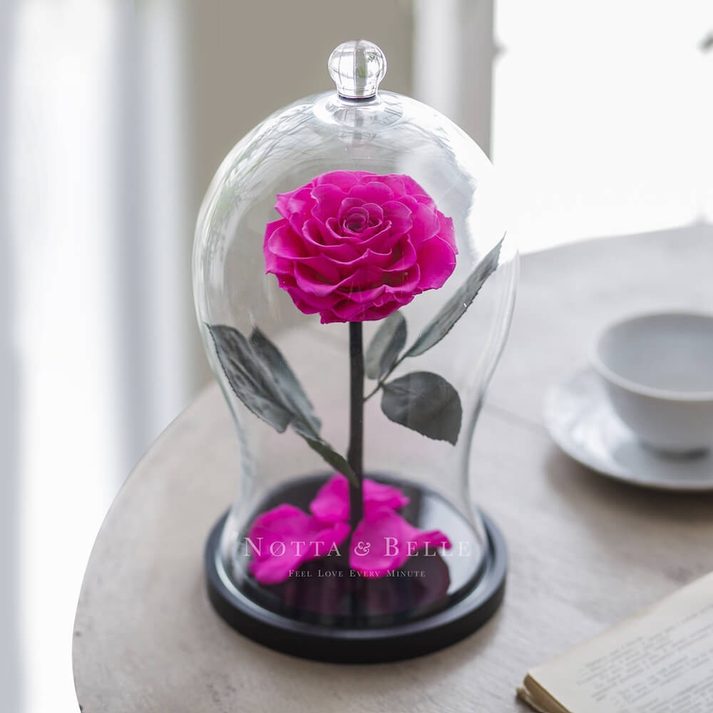 Premium X jasně růžová Růže ve skle