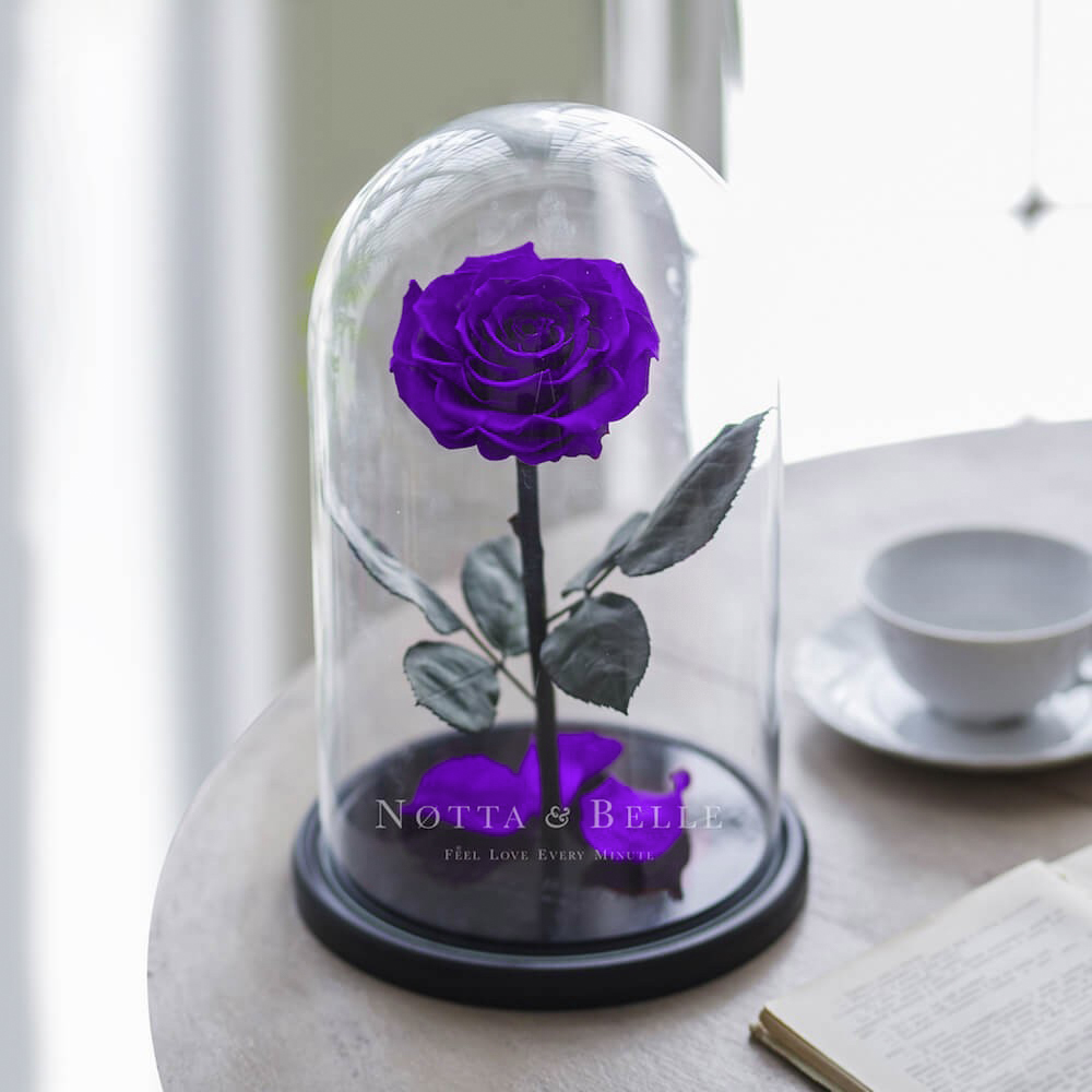 King fialová Růže ve skle