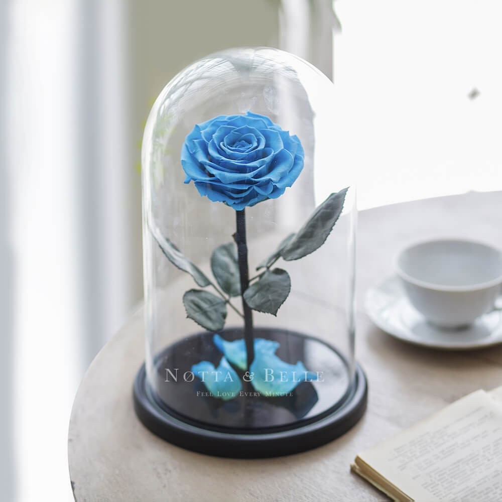 King light blue Rose