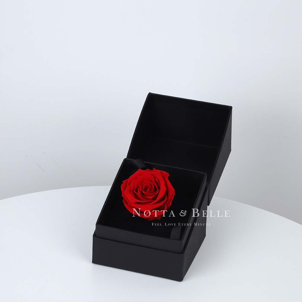 Rose rouge dans une boîte noire Mini 