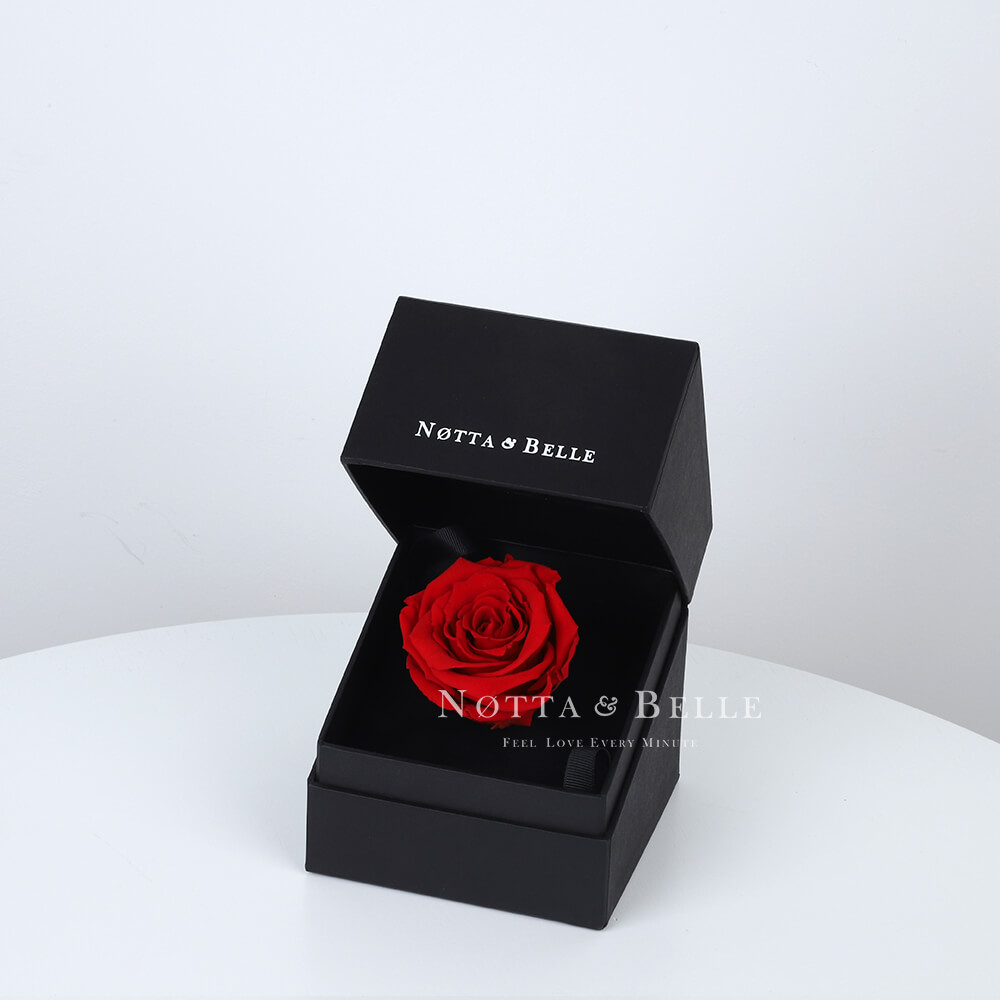 Rose rouge dans une boîte noire Mini 
