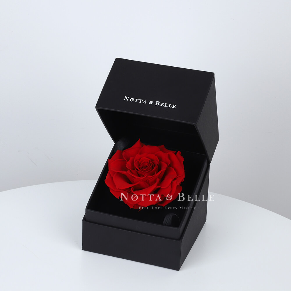 Rose rouge dans une boîte noire Premium 