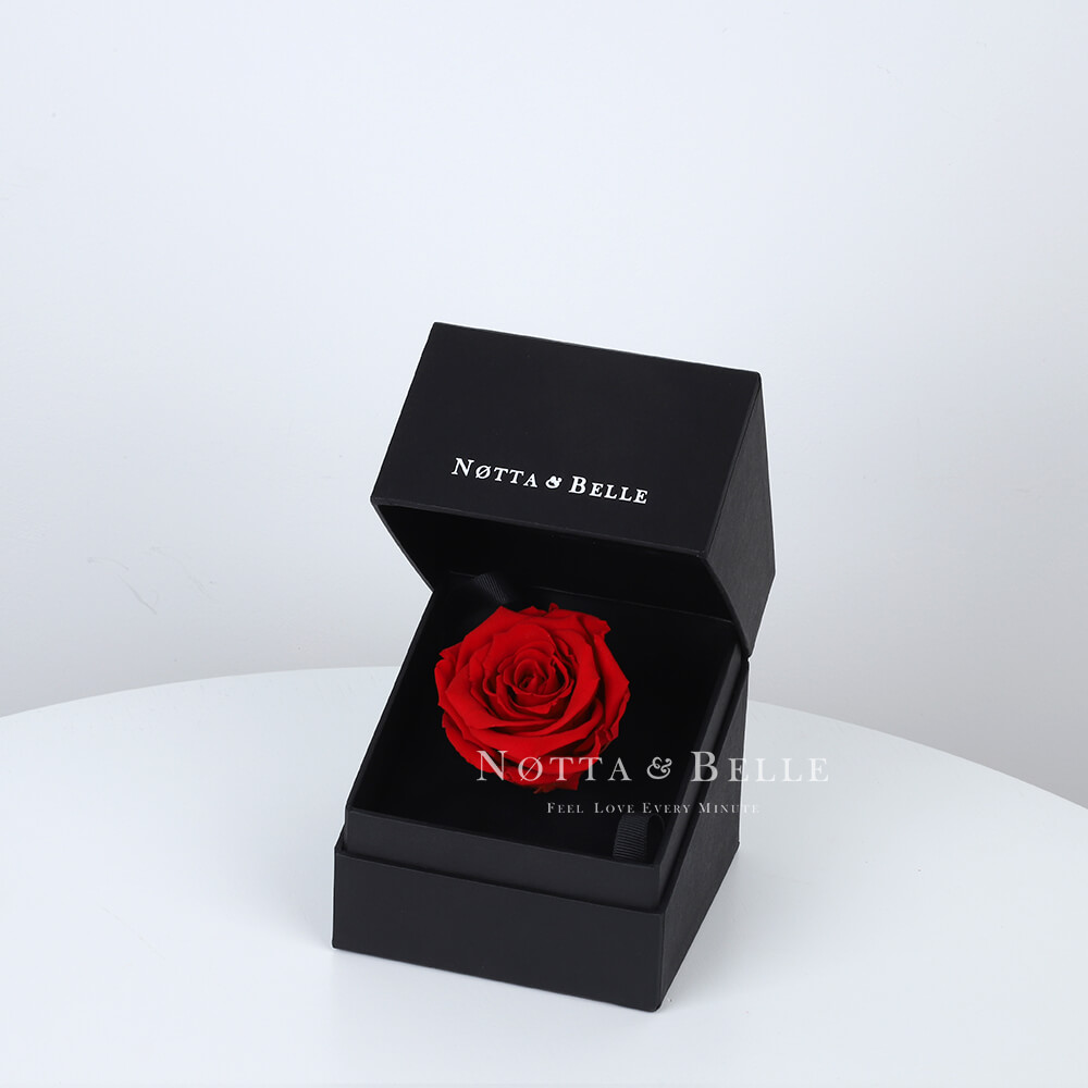 Rote Rose in schwarzer Mini-Schachtel
