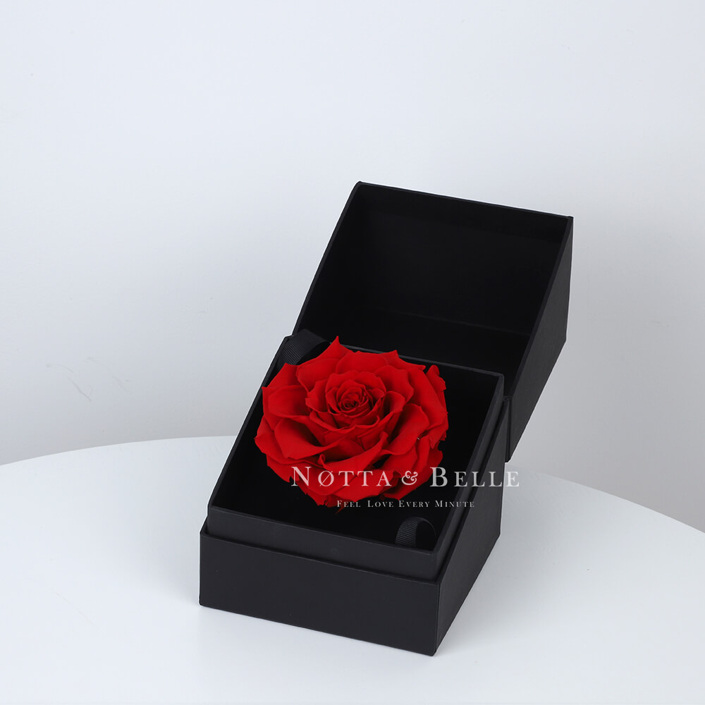 Rosa rossa in una scatola nera Premium