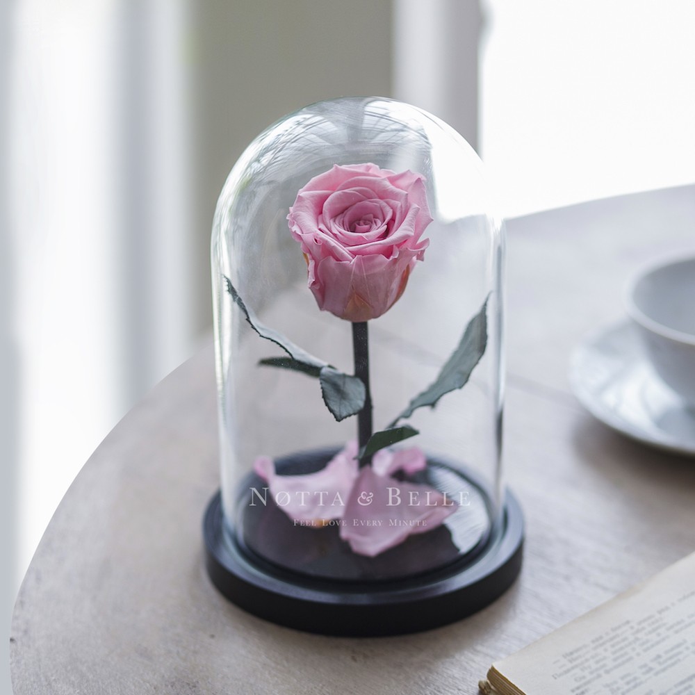 Розовая роза в колбе Mini