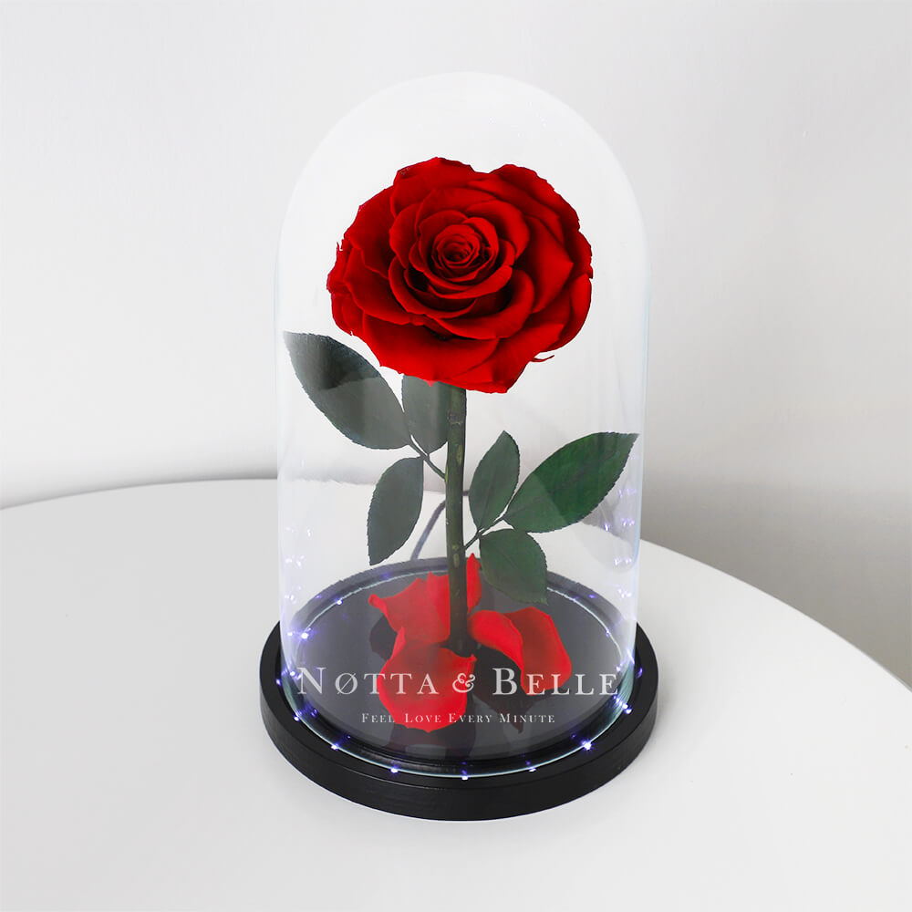 Comprar una rosa roja Iluminada en campana de cristal tamaño Premium con  entrega en Europa de Notta & Belle