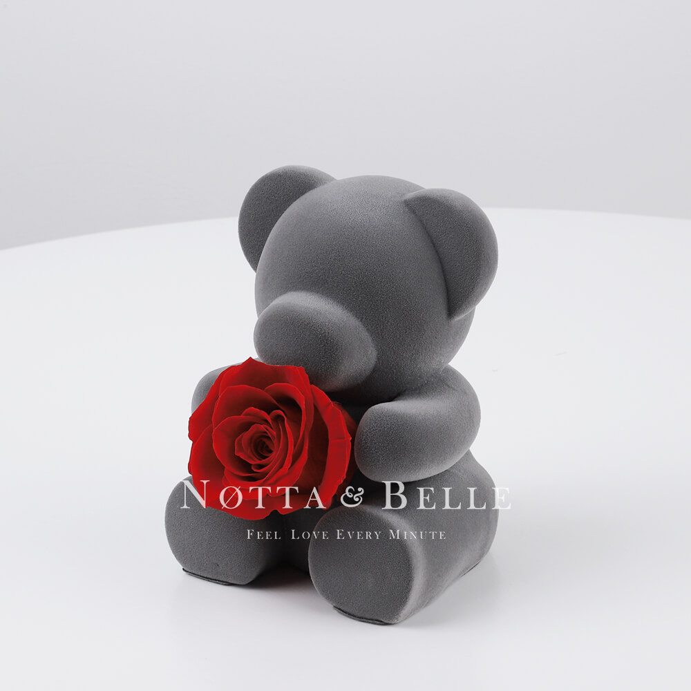 Teddy bear with a rose