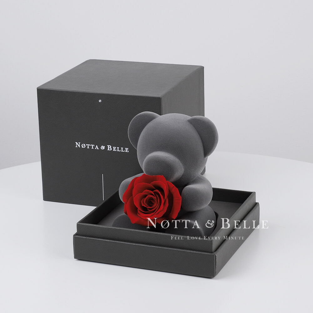 Teddy bear with a rose