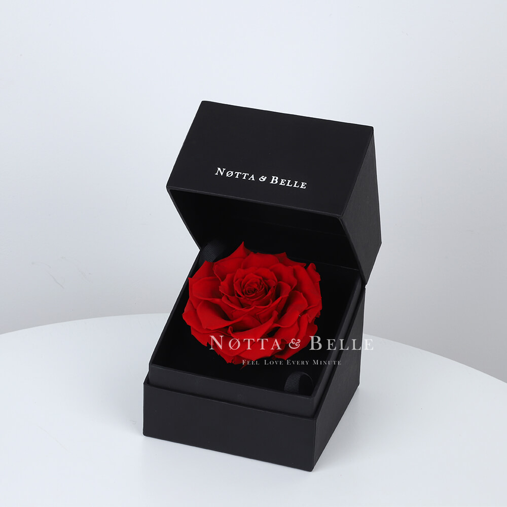 Red Rose in Black Premium Box