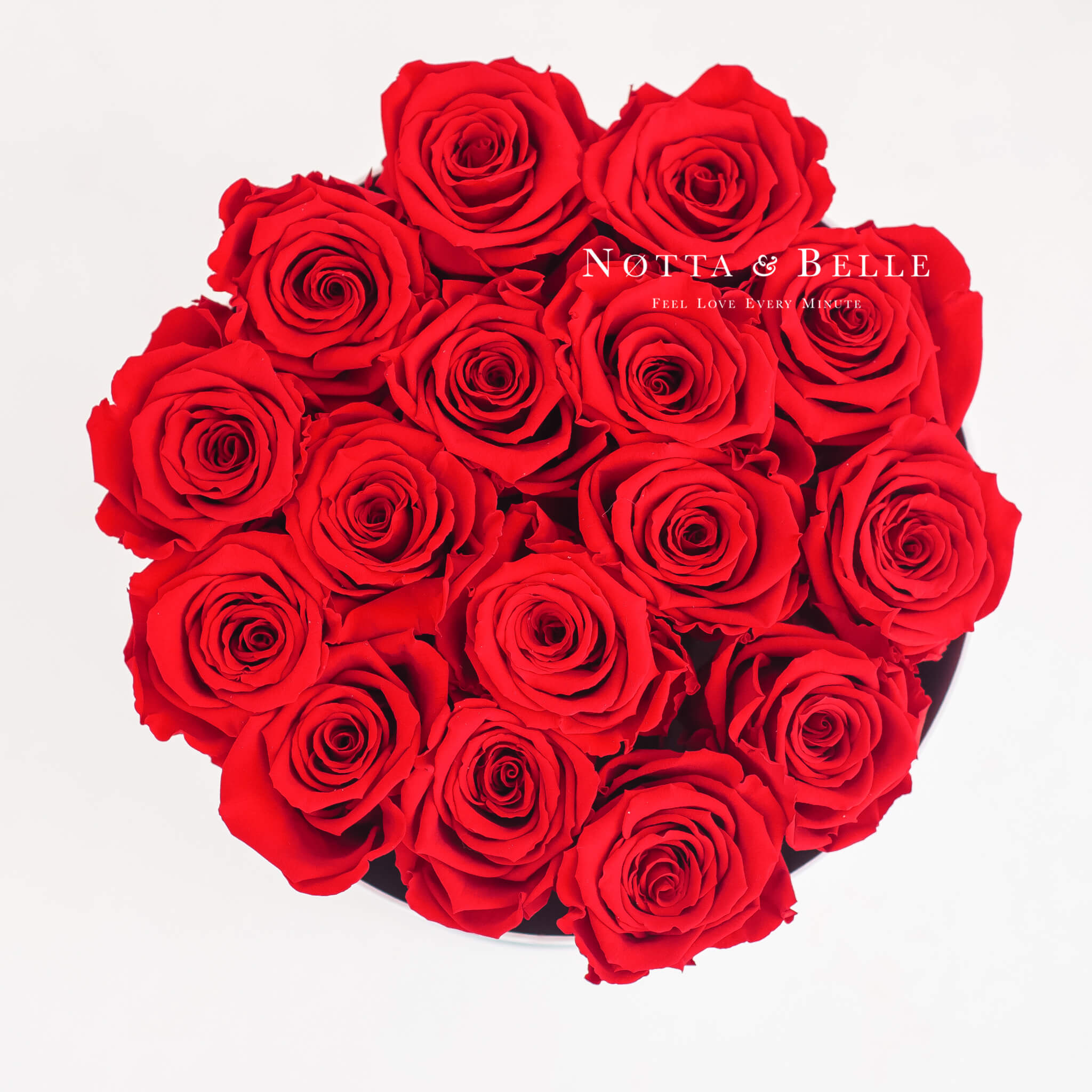 Rood boeket «Princess» - 15 rozen