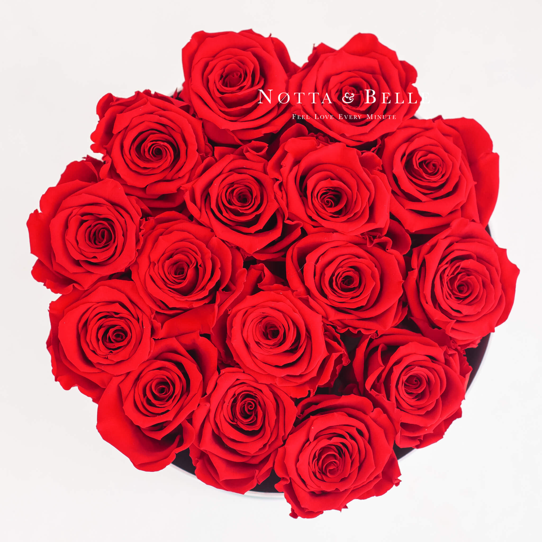 Zeehaven Site lijn infrastructuur Rood boeket «Princess»van 15 rozen in een zwarte doos | Notta & Belle