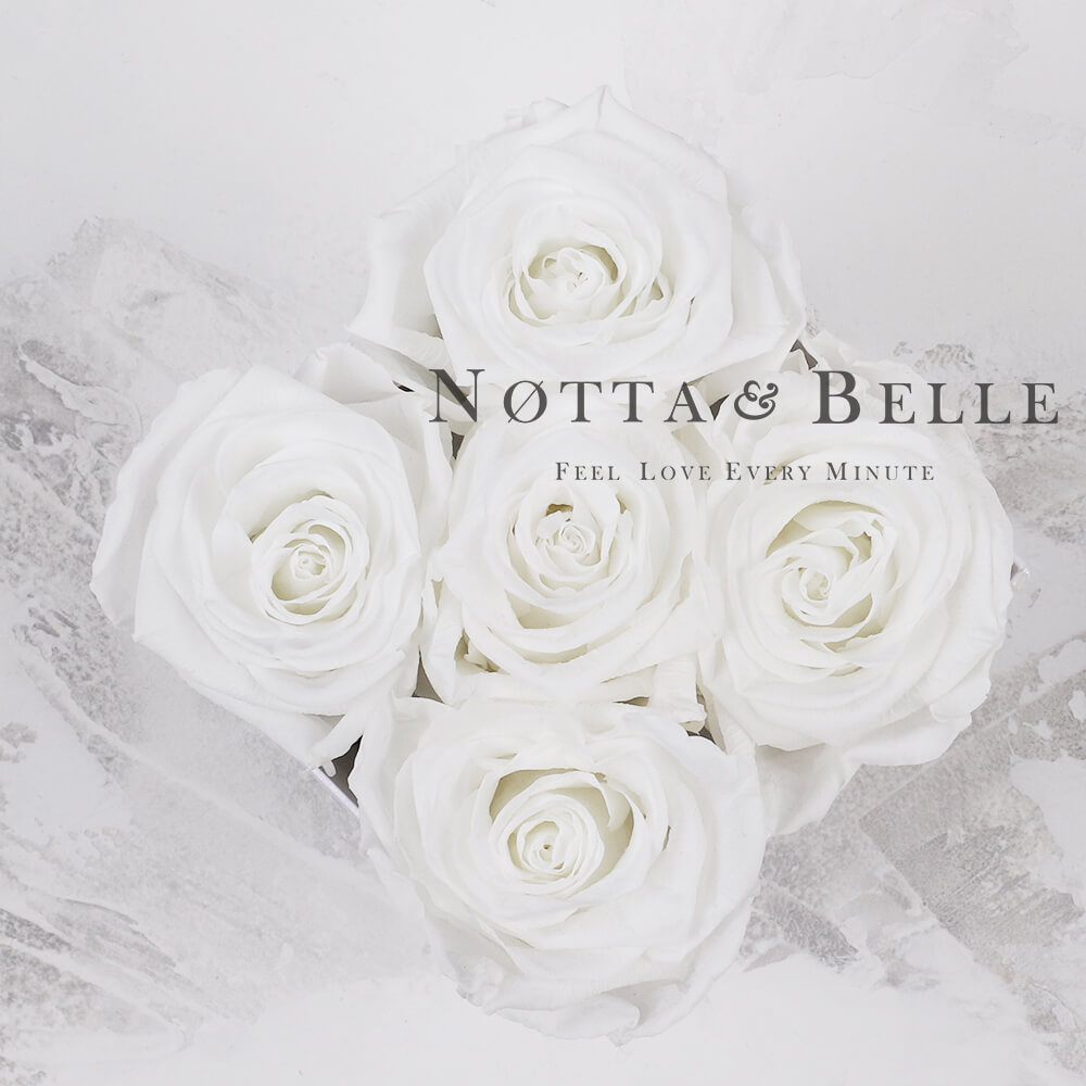 Bouquet «Forever» of 5 white roses in a black Mini box | Notta & Belle