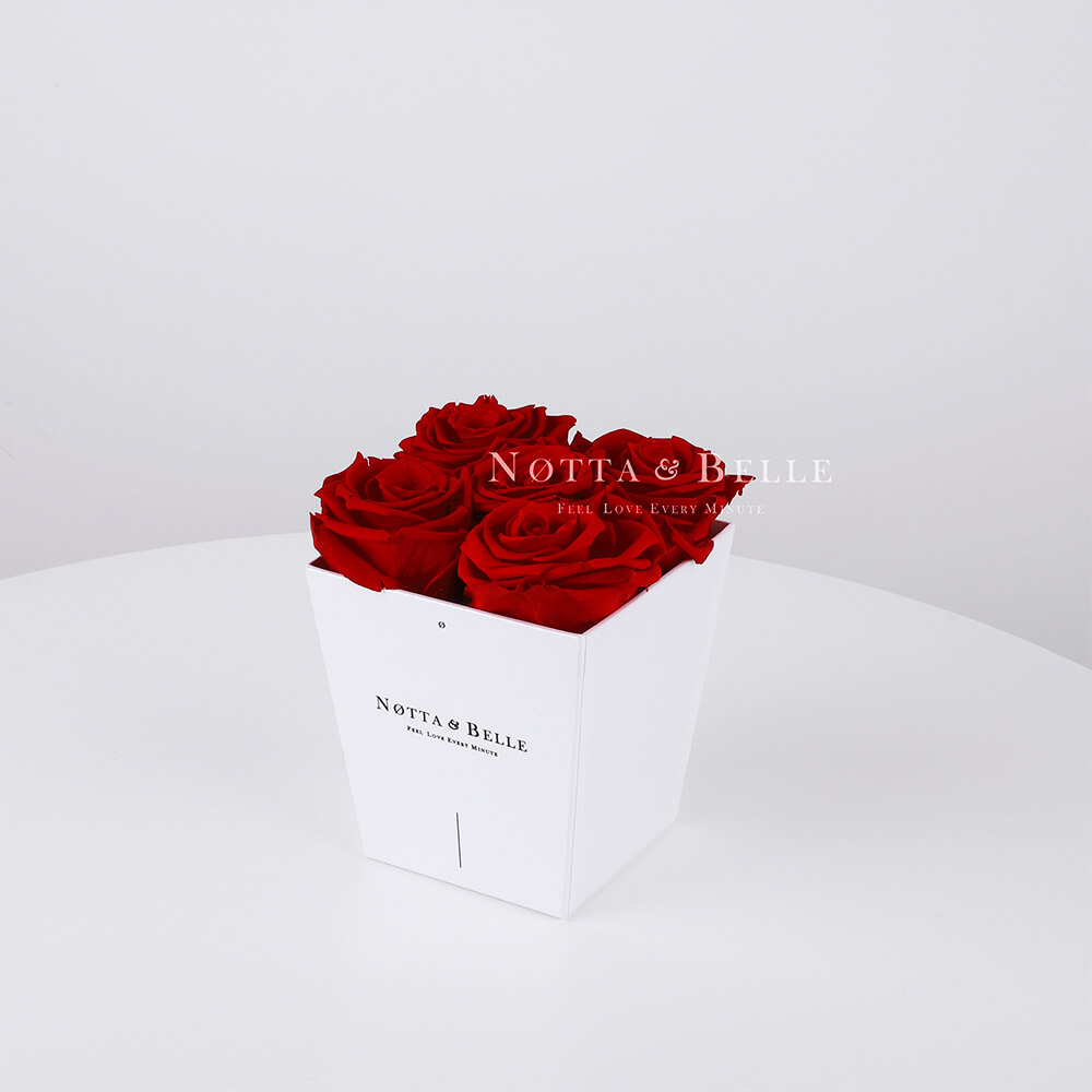 Bouquet satin lie de vin «Forever» - 5 roses