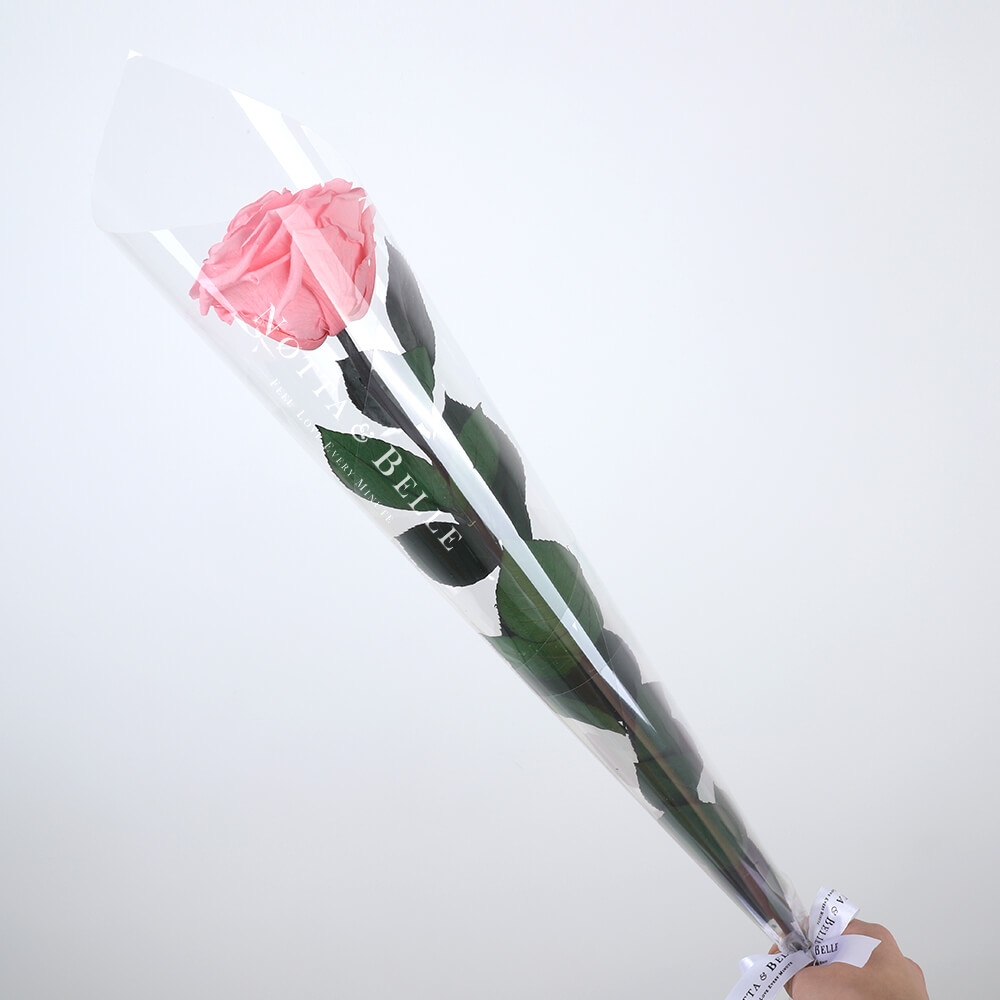 Розовая роза на стебле - Premium
