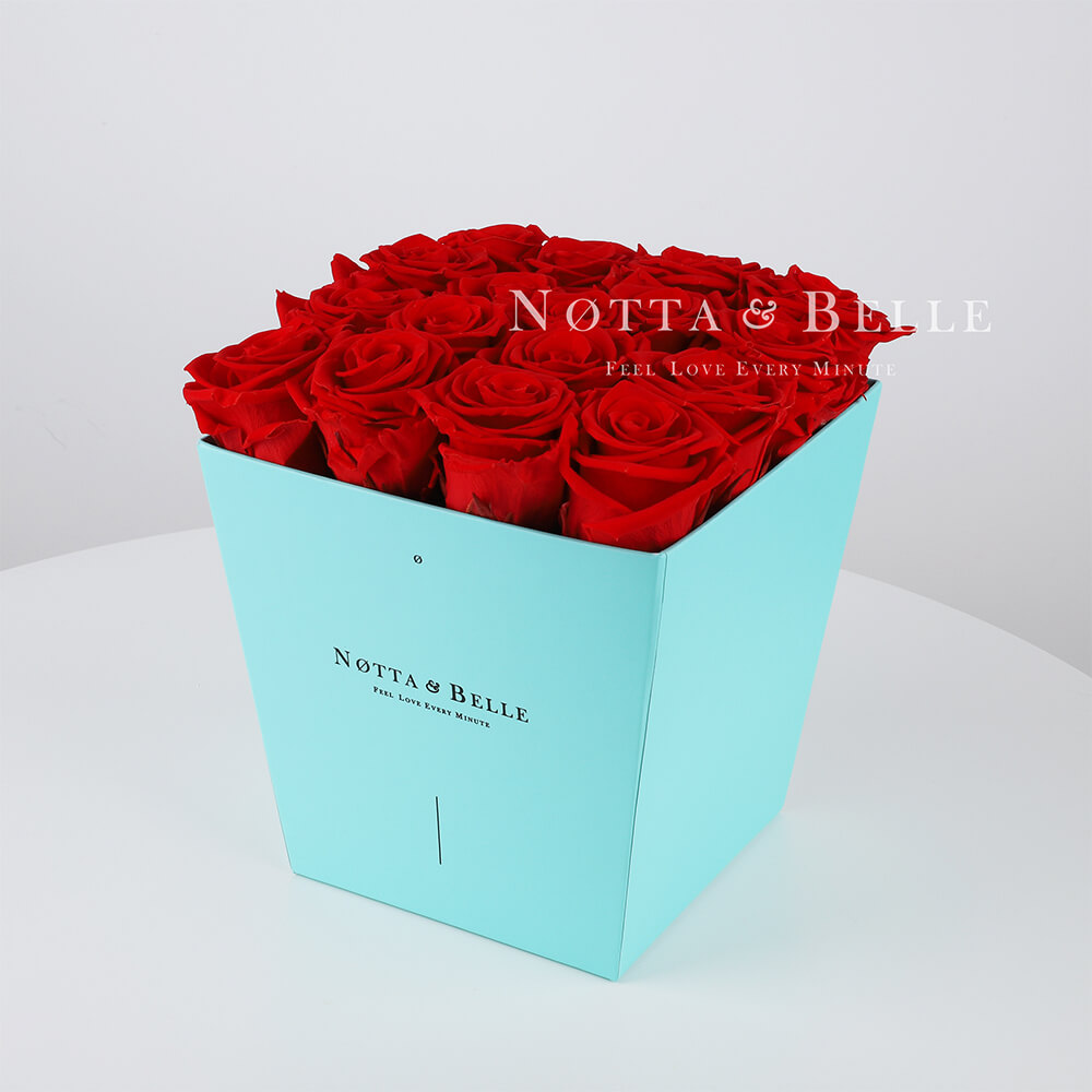 Долговечный букет из 17 красных роз - №213