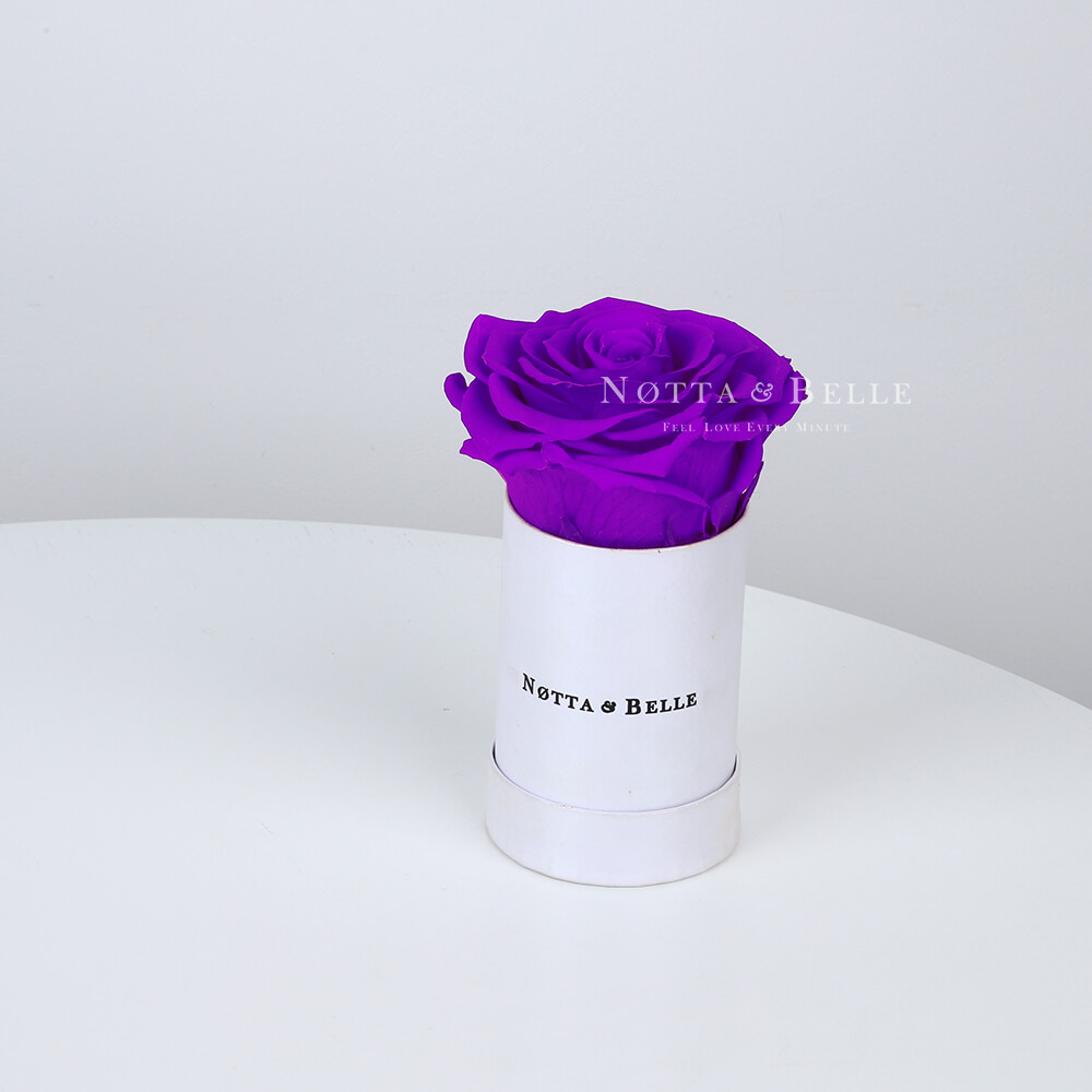 Фиолетовая роза в шляпной коробке - №1451