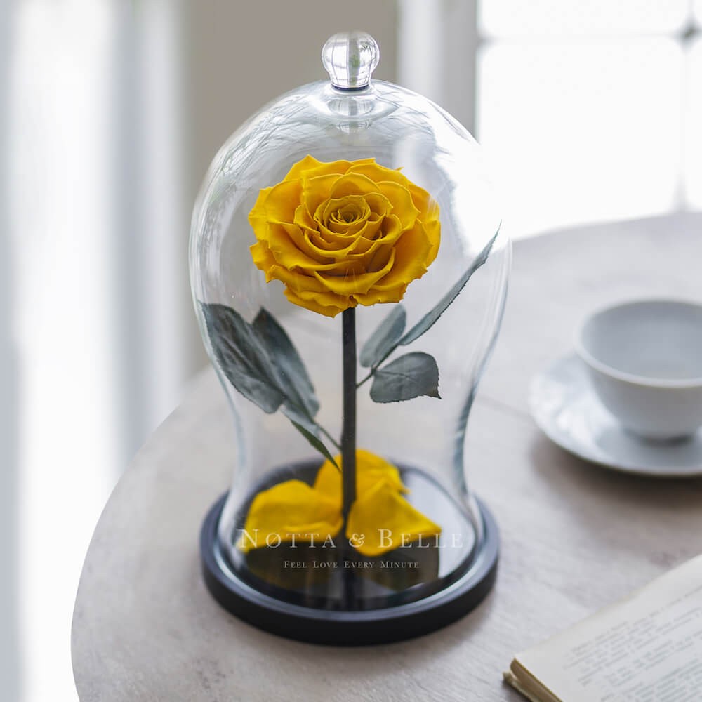Acheter une rose éternelle jaune Premium X sous cloche | Notta & Belle
