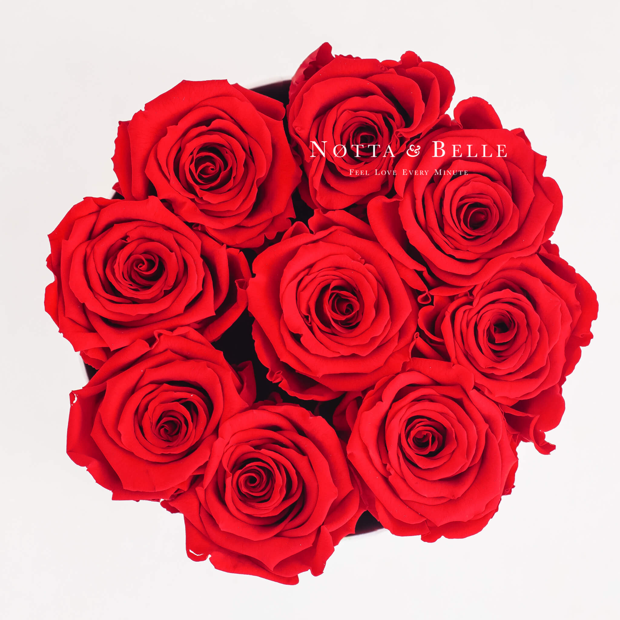 Bouquet rouge «Princess» - 9 roses