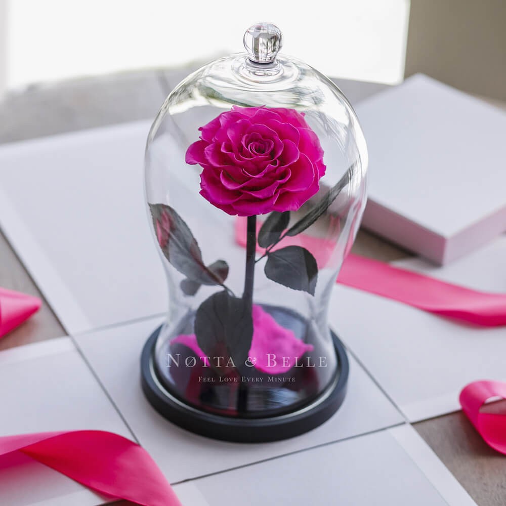 Geschenkbox weiß für eine Rose im Glas