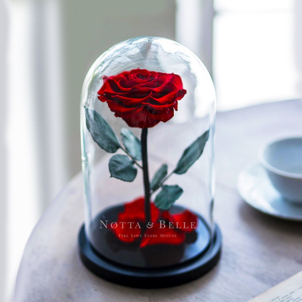 Premium červená Růže ve skle