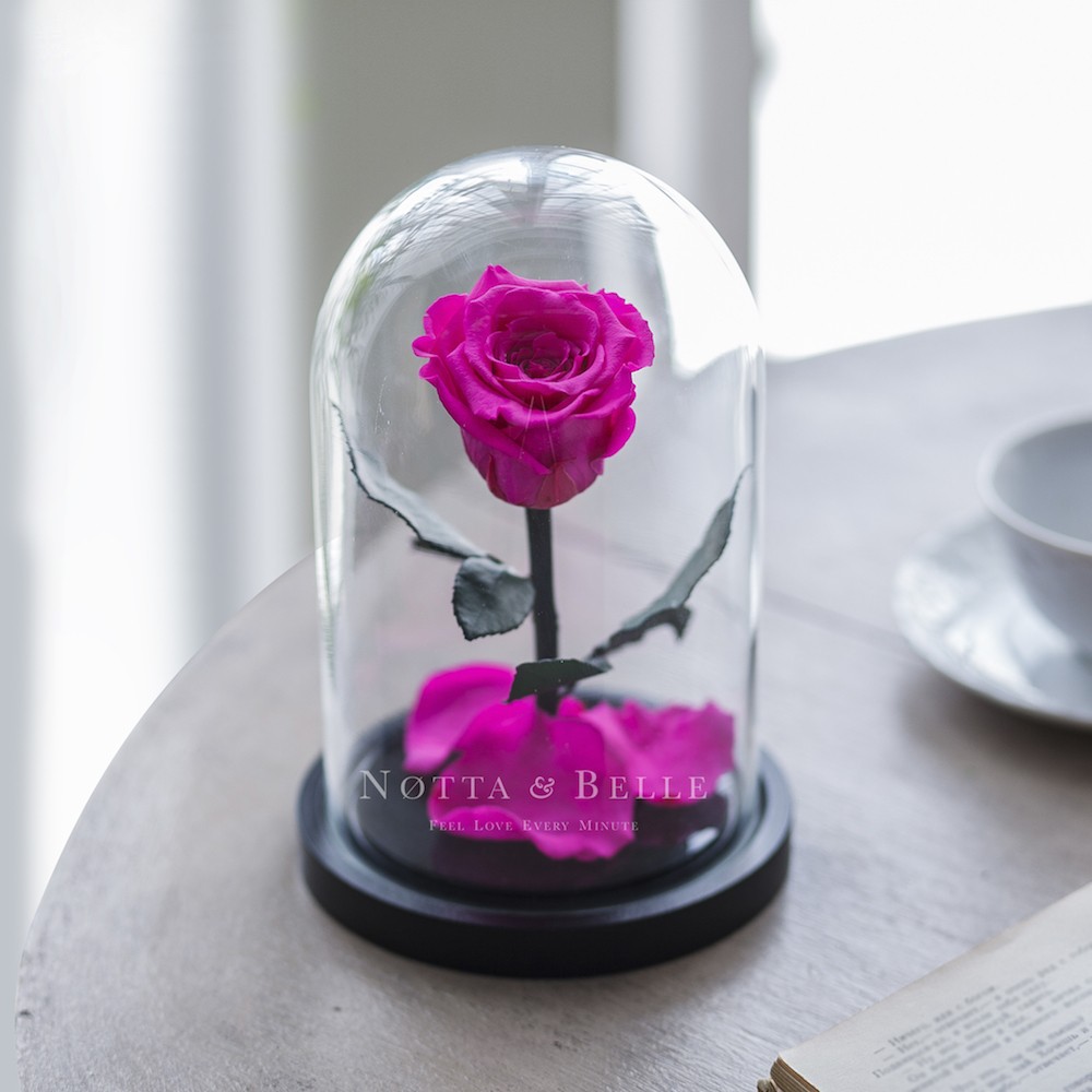 Mini jasně růžová Růže ve skle