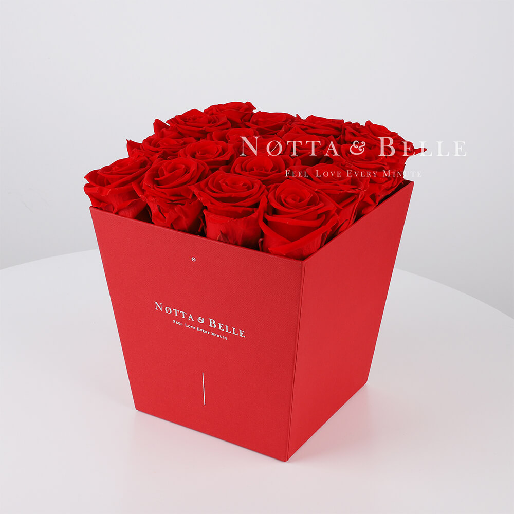 Долговечный букет из 17 красных роз - №214