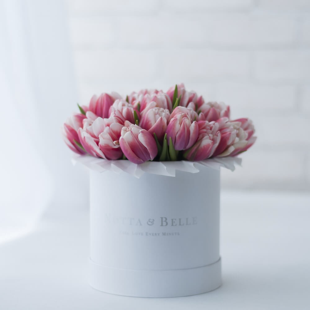 Premium Красно-белые тюльпаны в шляпных коробках - Notta&Belle